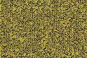 Ковровая плитка Desso Fields 6218 фото  | FLOORDEALER