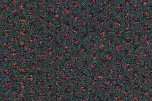 Ковролин Balsan Signature 996 фото  | FLOORDEALER