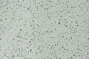 Линолеум Tarkett iq Era sc 805 фото  | FLOORDEALER