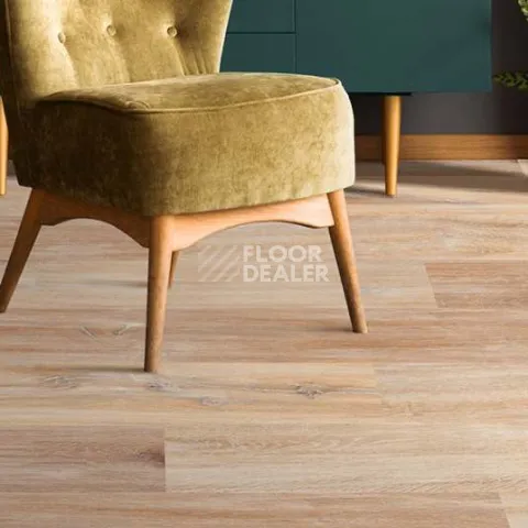 Wood Xl Oak  Gekalte New фото 3 | FLOORDEALER