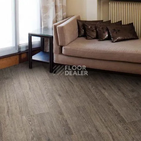 Wood OAK RUSTIC SILVER фото 3 | FLOORDEALER
