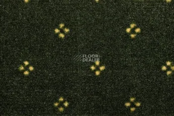 Haima Chic 05 фото 2 | FLOORDEALER