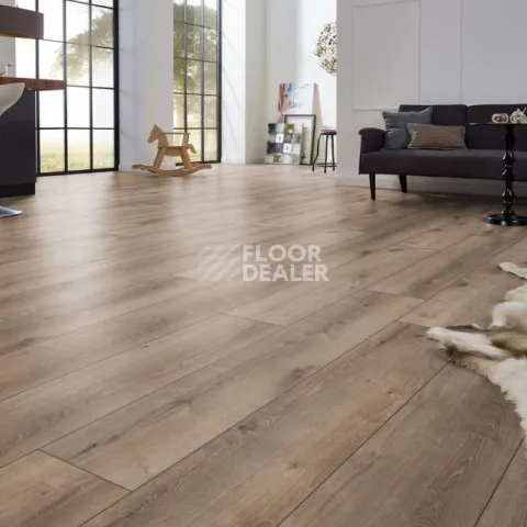 Kronotex Exquisit Plus d6020 Дуб Кашмир Титан фото 6 | FLOORDEALER