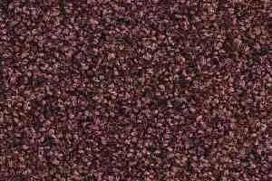 Ковролин Balsan Script 580 фото  | FLOORDEALER