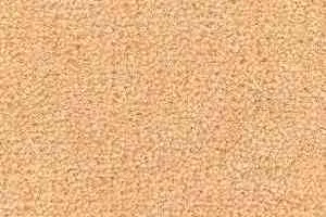 Ковролин Radici Montecarlo 49 фото  | FLOORDEALER