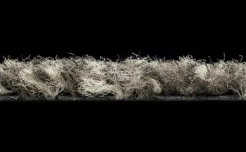 Forbo Coral Classic 4764 Taupe фото 3 | FLOORDEALER