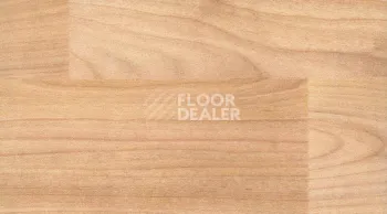 Линолеум Gerflor Taraflex Performance Wood 6350_Light_Cherry_Design фото 1 | FLOORDEALER