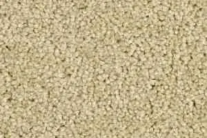 Ковролин Balsan Serenite 620 фото  | FLOORDEALER