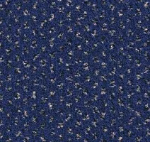 Ковролин Balsan Signature 193 фото 1 | FLOORDEALER