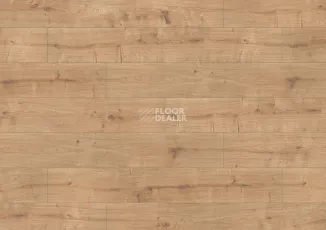 Terhurne Dureco Classic Line 2810 / a12 Дуб Cахара-бежевый фото 2 | FLOORDEALER