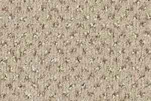 Ковролин Balsan Signature 604 фото  | FLOORDEALER