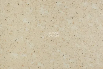Tarkett Acczent Pro Aspect 4 фото 1 | FLOORDEALER