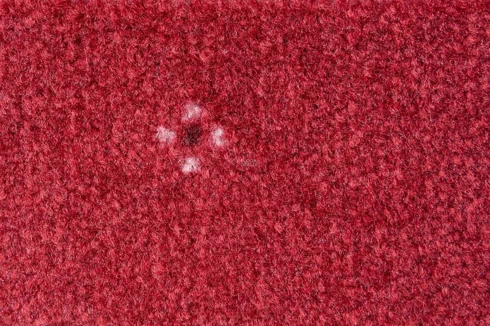 AW Animo 11 фото 2 | FLOORDEALER