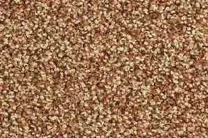 Ковролин Balsan Script 450 фото  | FLOORDEALER