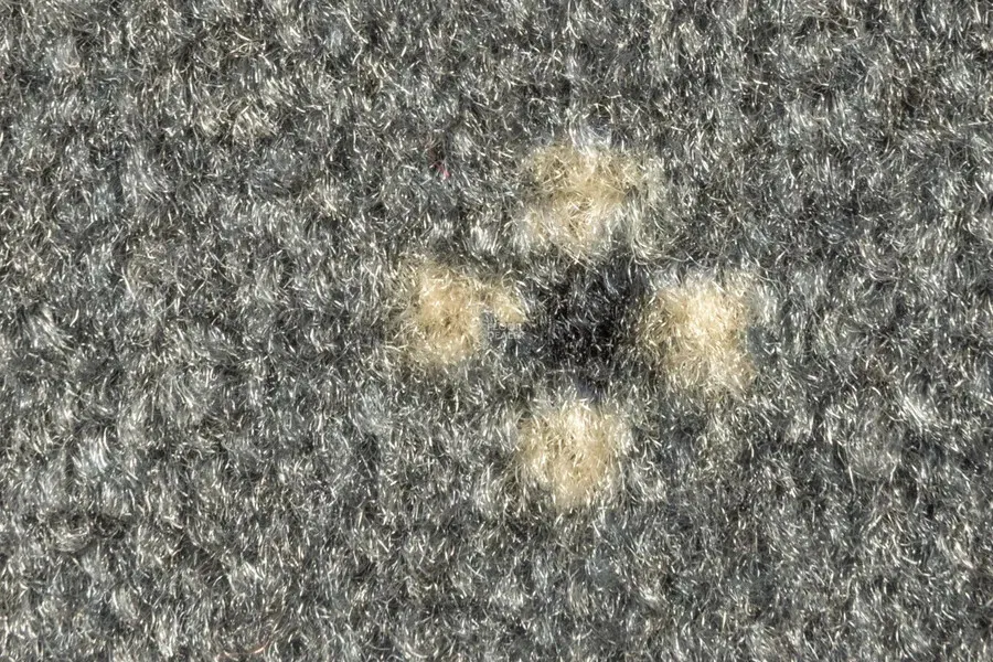 AW Animo AW Animo 97 фото 3 | FLOORDEALER