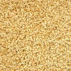 Ковролин Зартекс Фортуна Фортуна 008 Золотистый фото 1 | FLOORDEALER