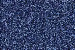 Ковролин Balsan Script 160 фото  | FLOORDEALER