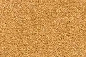 Ковролин Radici Montecarlo 18 фото  | FLOORDEALER