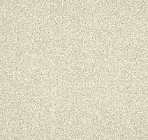 Ковролин AW Miracle 30 фото 1 | FLOORDEALER