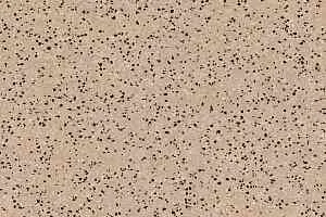 Линолеум Tarkett iq Era sc 802 фото  | FLOORDEALER
