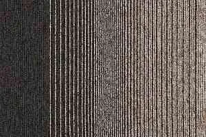 Ковровая плитка Interface Employ Loop/Lines Lines 4223001 фото  | FLOORDEALER