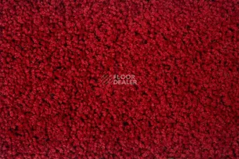 Ковролин Haima Stepway n 5023 фото 1 | FLOORDEALER