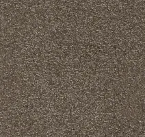 Ковролин AW Masquerade Porzia 42 фото 1 | FLOORDEALER