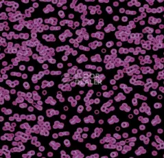 Ковролин Forbo Flotex Sottsass Bacteria 990104 фото 1 | FLOORDEALER