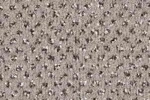 Ковролин Balsan Signature 705 фото  | FLOORDEALER