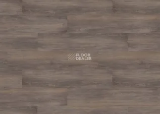 Terhurne Trend Line 243мм 1972 Дуб Дымчато - Серый 1101021711 фото 2 | FLOORDEALER
