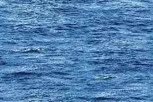 Ковролин Halbmond Pure Elements 13844 фото  | FLOORDEALER