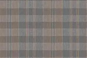 Ковролин Forbo Flotex Vision Pattern 590015 (Plaid) Cement фото  | FLOORDEALER