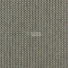 Ковролин Carpet Concept Goi 4 290105 фото 1 | FLOORDEALER
