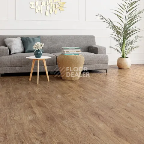 Alpine Floor Albero 10мм A1005 ДУБ ШЕРВУД фото 2 | FLOORDEALER