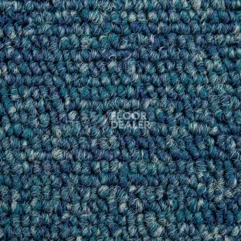 AW Medusa / Медуза 70 фото 3 | FLOORDEALER