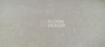 Innova Туссор N4239 фото 2 | FLOORDEALER