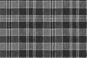 Ковролин Forbo Flotex Vision Pattern 590005 (Plaid) Quartz фото  | FLOORDEALER