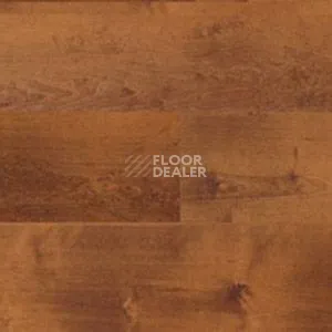 Линолеум Polyflor Expona Wood 6106 фото 1 | FLOORDEALER