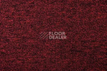 AW Medusa / Медуза 11 фото 3 | FLOORDEALER