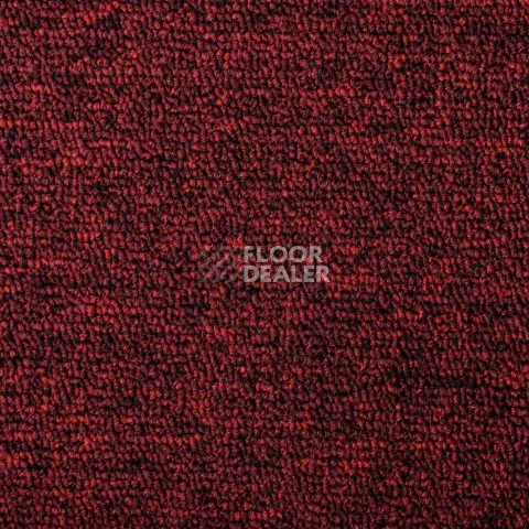 AW Medusa / Медуза 11 фото 3 | FLOORDEALER