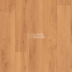 Линолеум GraboSport Elite Wood 60 2209_371_275 фото 1 | FLOORDEALER