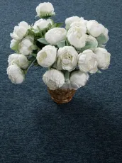 Haima Classic 72 фото 6 | FLOORDEALER