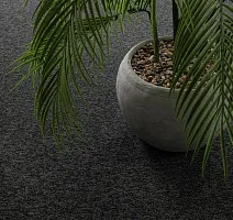 Haima Classic 71 фото 10 | FLOORDEALER