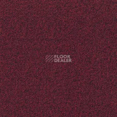 Ковролин Associated Weavers Maxima 12 фото 1 | FLOORDEALER