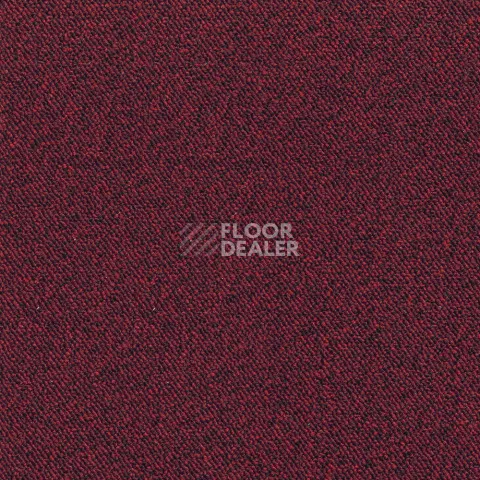 Ковролин Associated Weavers Maxima 12 фото 1 | FLOORDEALER