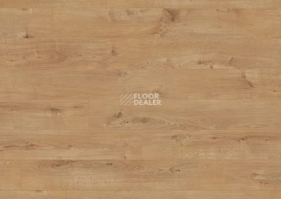 Ламинат Terhurne Classic Line 192мм 1844  Дуб Золотисто - Коричневый  1101020812 фото 2 | FLOORDEALER