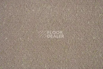 Innova Галактика Бежевый Контраст фото 2 | FLOORDEALER