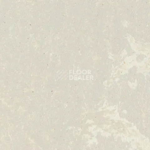 Линолеум Forbo Marmoleum Solid Concrete 3708-370835 fossil фото 1 | FLOORDEALER