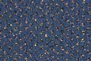 Ковролин Balsan Signature 192 фото  | FLOORDEALER