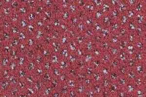 Ковролин Balsan Signature 590 фото  | FLOORDEALER